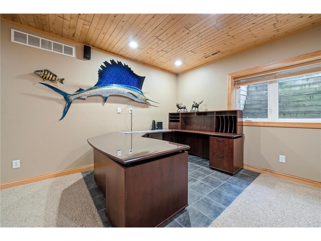 4201 Rue De Frenchman NE Alexandria MN 56308 7075248 image25