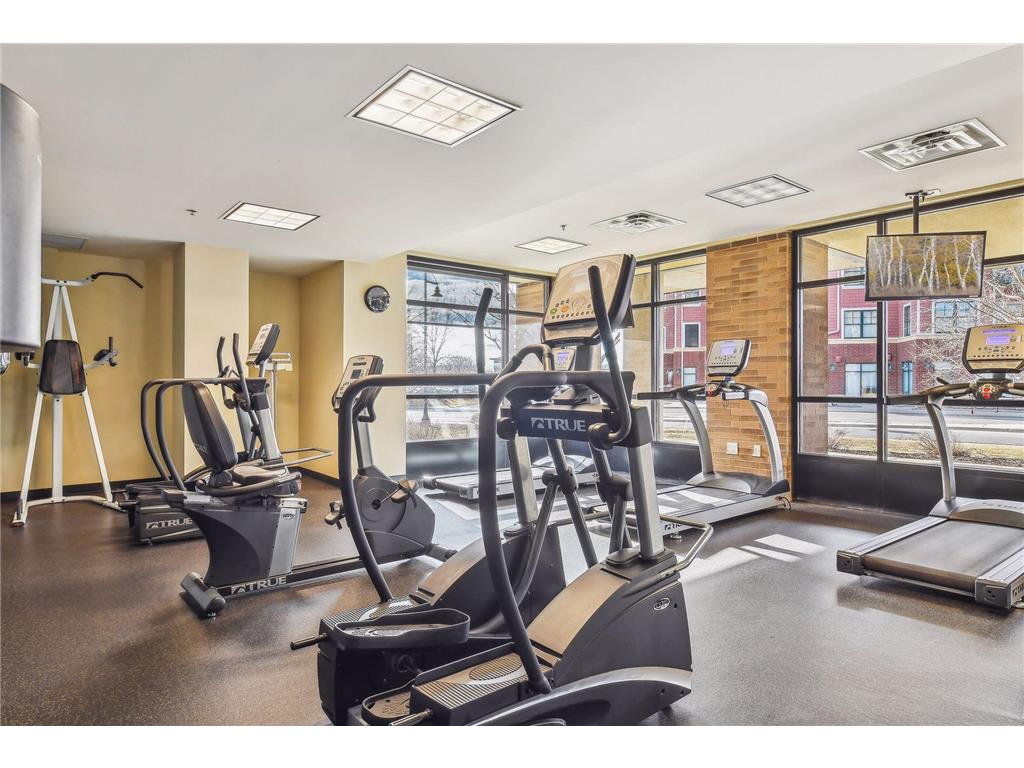 4201 Sunset Drive #N217 Spring Park MN 55384 - Lake Minnetonka 6813086 image68