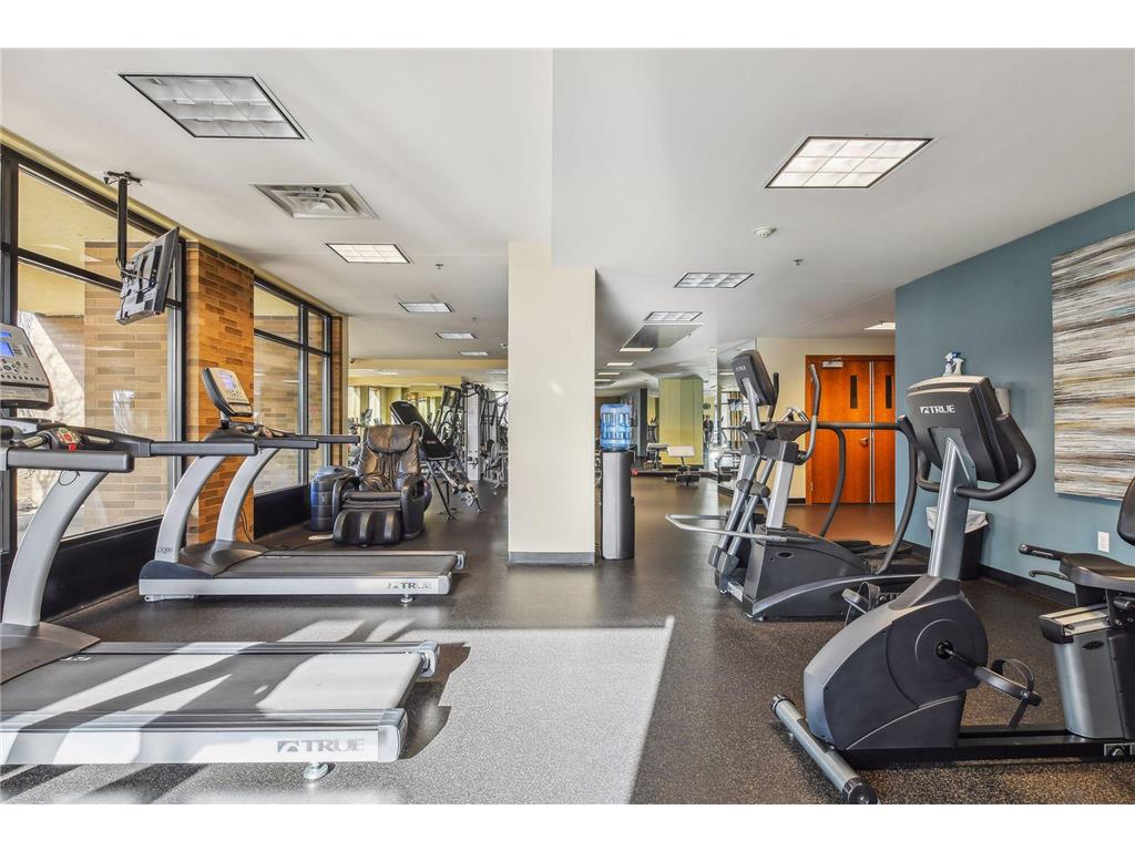 4201 Sunset Drive #N217 Spring Park MN 55384 - Lake Minnetonka 6813086 image69