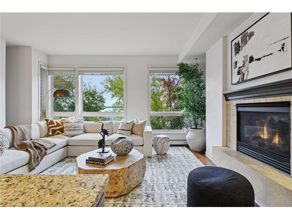 4201 Sunset Drive #N217 Spring Park MN 55384 - Lake Minnetonka 6813086 image7