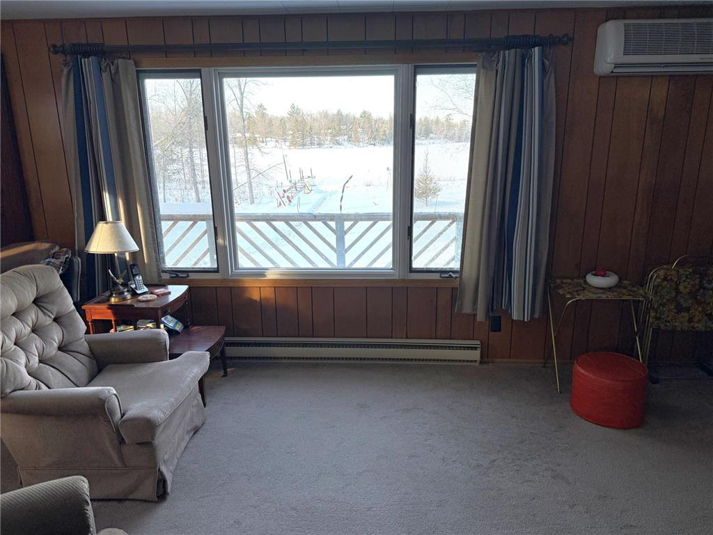 4203 14th Avenue NW Woodrow Twp MN 56452 - Baby 7001126 image15