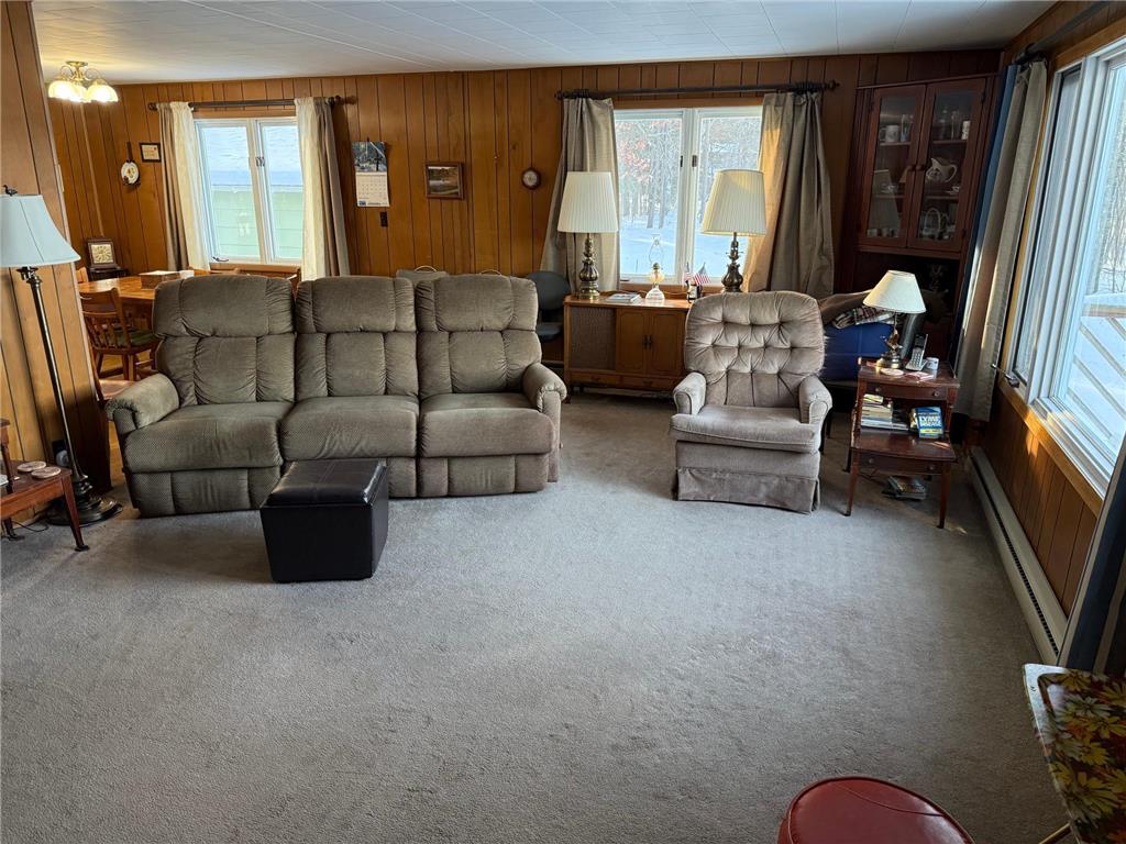 4203 14th Avenue NW Woodrow Twp MN 56452 - Baby 7001126 image17