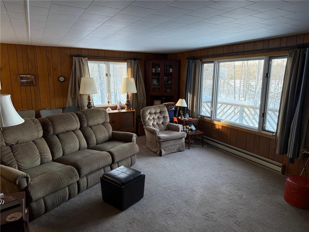 4203 14th Avenue NW Woodrow Twp MN 56452 - Baby 7001126 image18