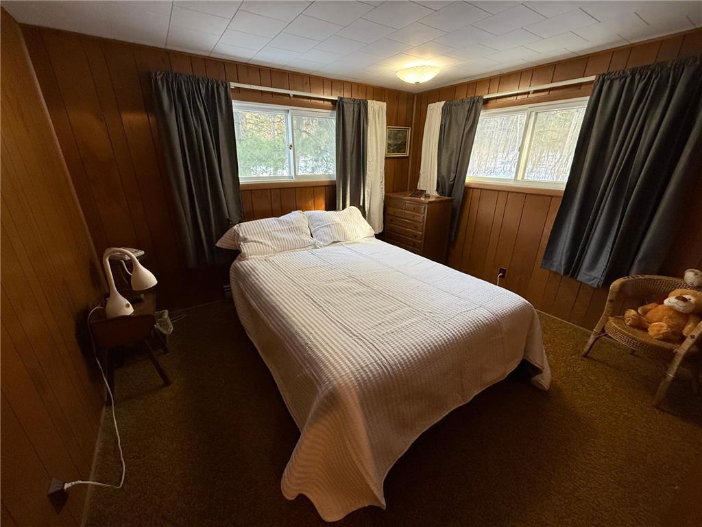 4203 14th Avenue NW Woodrow Twp MN 56452 - Baby 7001126 image20