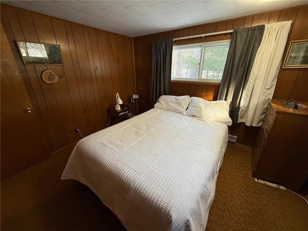 4203 14th Avenue NW Woodrow Twp MN 56452 - Baby 7001126 image21