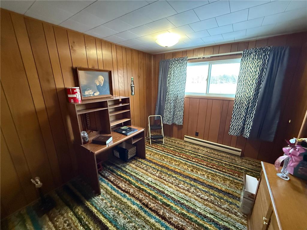 4203 14th Avenue NW Woodrow Twp MN 56452 - Baby 7001126 image23