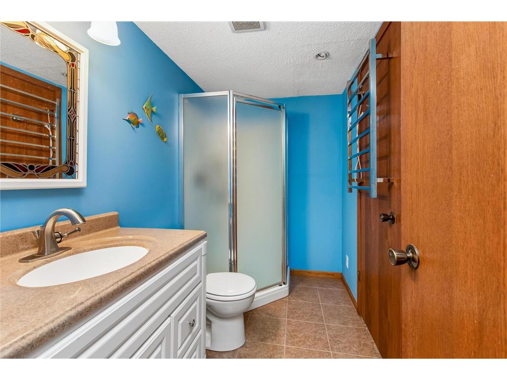 4209 Braddock Trail Eagan MN 55123 7097692 image28