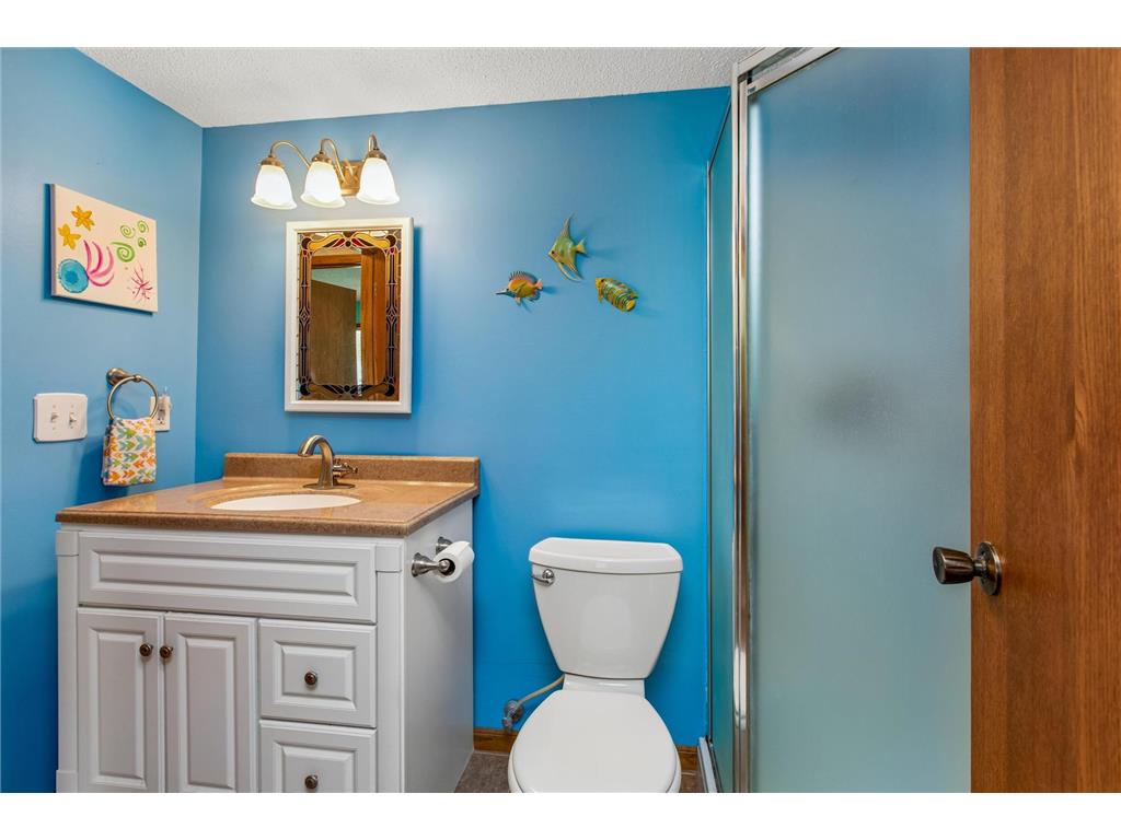 4209 Braddock Trail Eagan MN 55123 7097692 image29