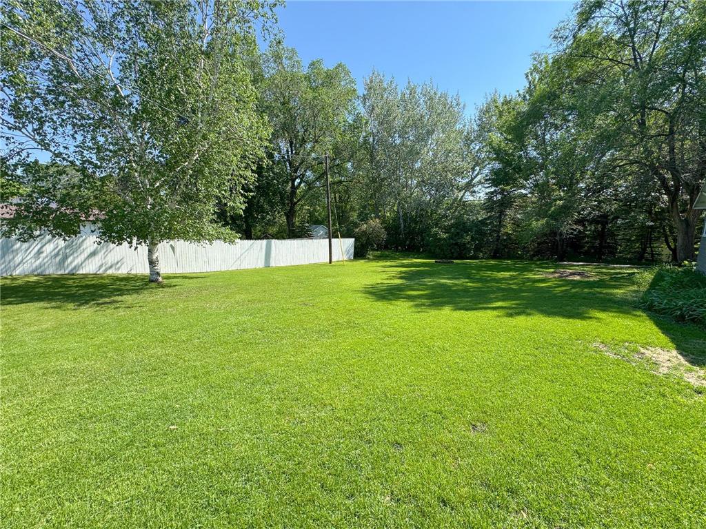 421 Bowling Avenue Detroit Lakes MN 56501 7088715 image41