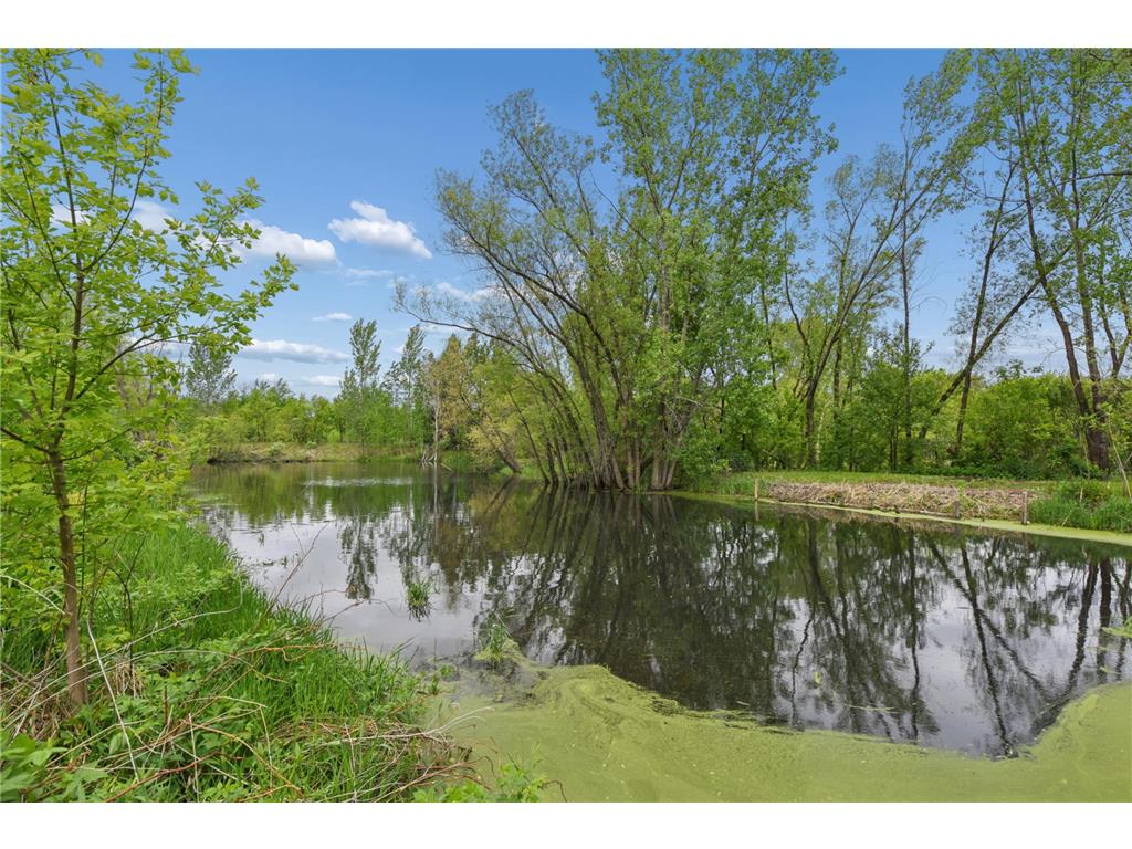 421 Durango Drive Roberts WI 54023 7076353 image32