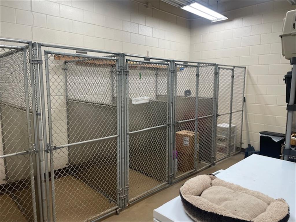 421 E 5tt Street Centuria WI 54824 6824013 image11