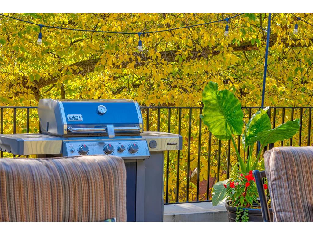 421 Summit Avenue #3 Saint Paul MN 55102 6797662 image41