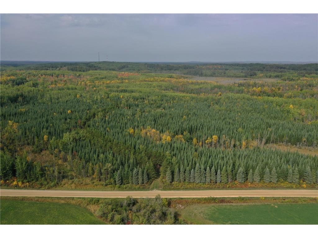 42102 Co. Rd. 128 Deer River MN 56636 6438151 image1