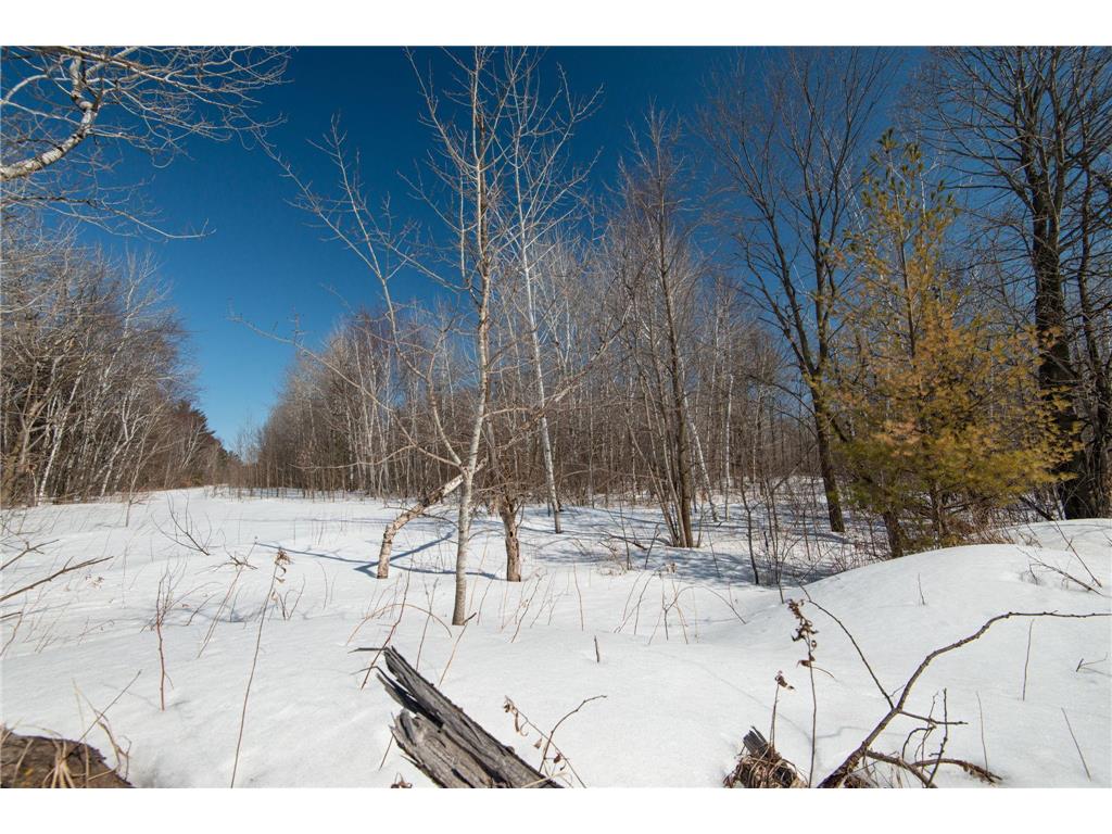 42150 Iris Avenue Harris MN 55032 6342345 image1