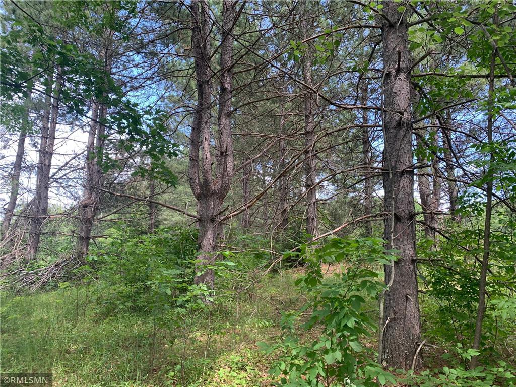 42154 Grove Street Palisade MN 56469 6400148 image1