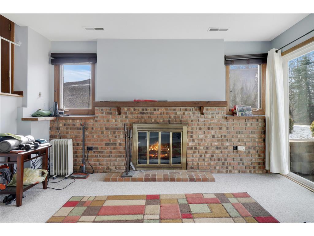 4219 Hemlock Lane N Plymouth MN 55441 7008390 image17