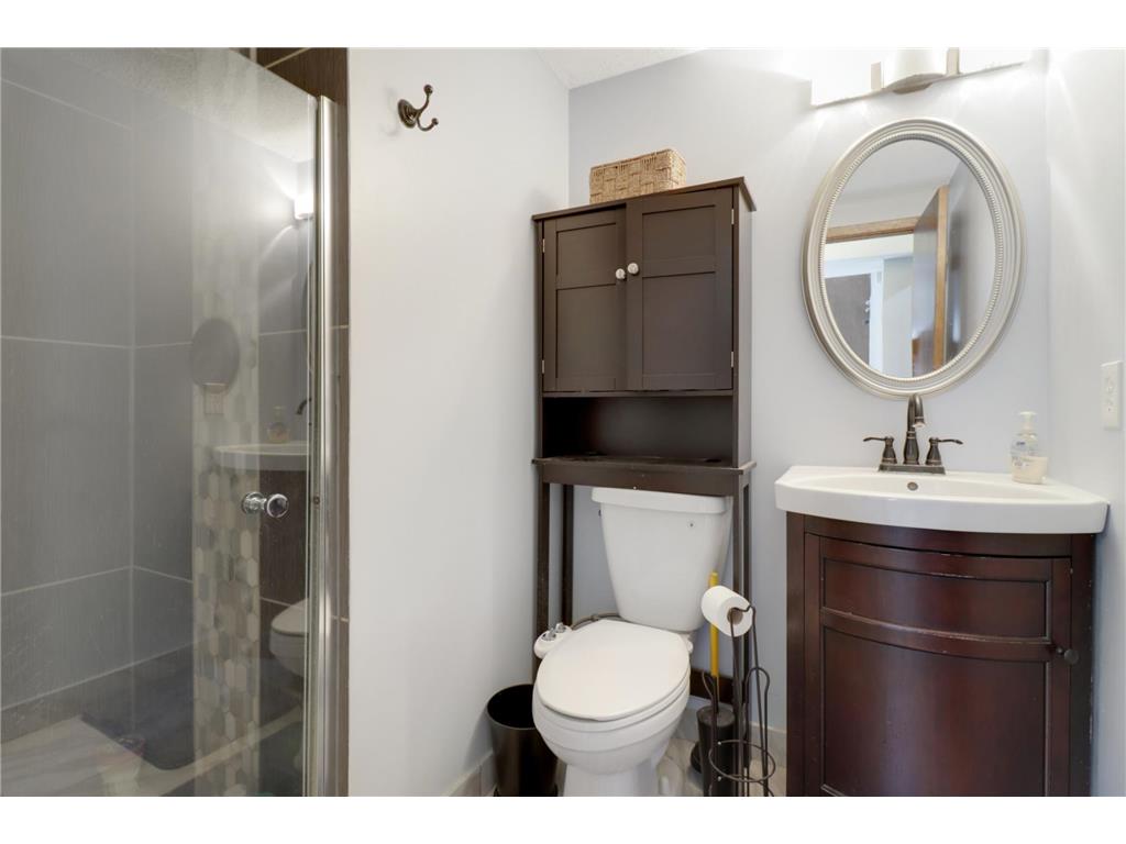 4219 Hemlock Lane N Plymouth MN 55441 7008390 image20