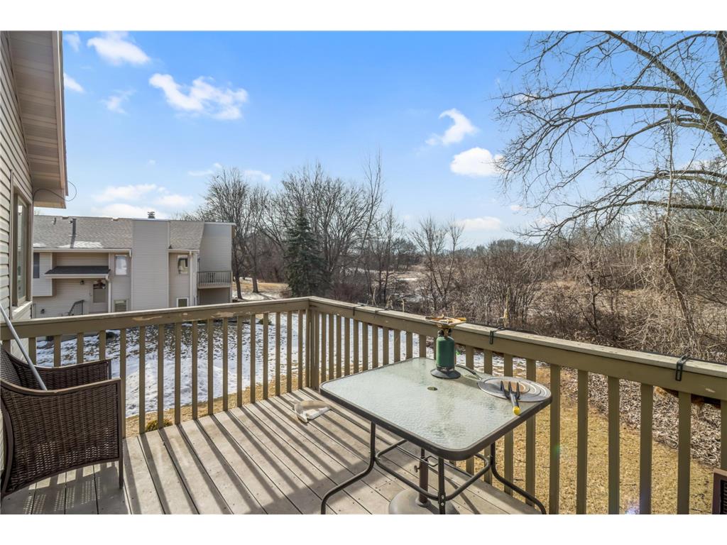 4219 Hemlock Lane N Plymouth MN 55441 7008390 image28