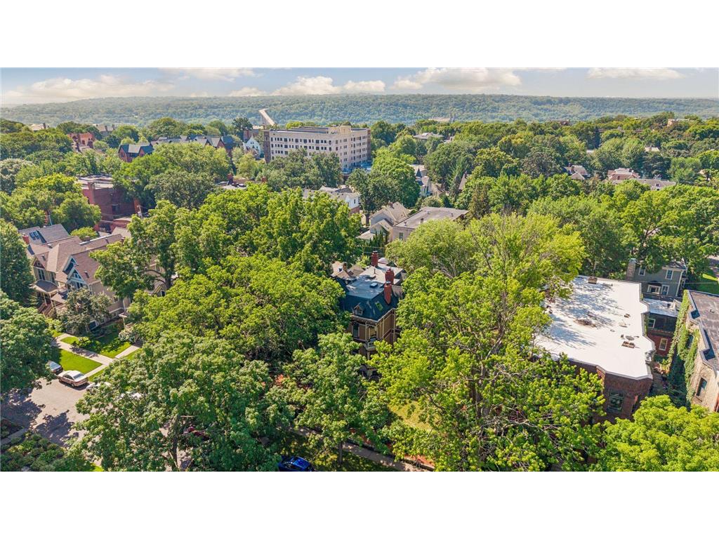 422 Laurel Avenue Saint Paul MN 55102 7106831 image88