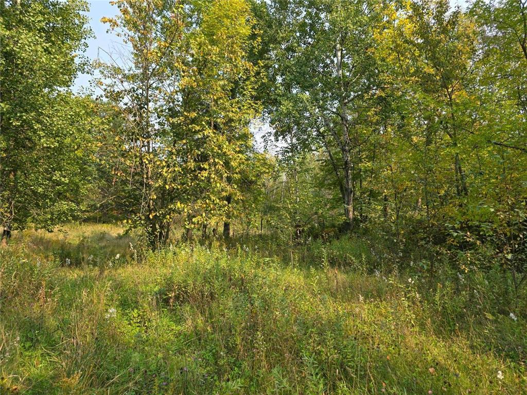 42206 County Highway 26 Shell Lake Twp MN 56578 6602478 image1