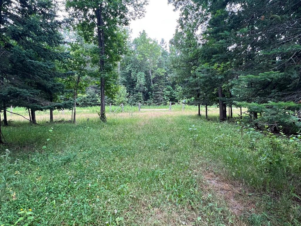 42228 County Road 234 Cohasset MN 55721 7115570 image10