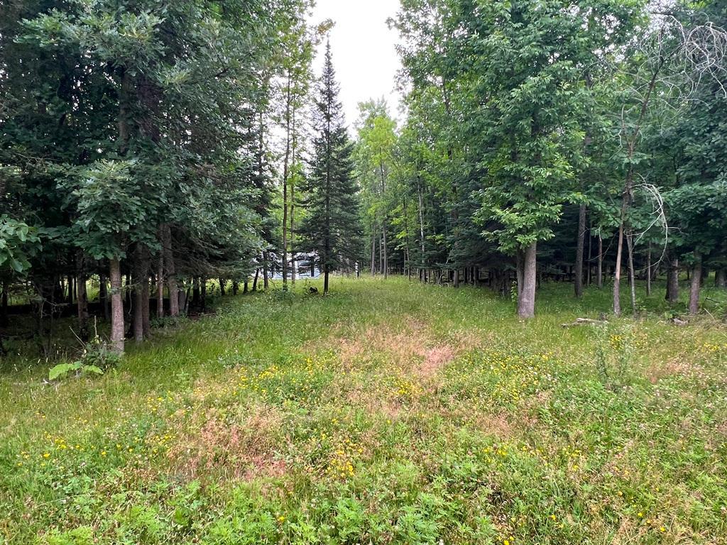 42228 County Road 234 Cohasset MN 55721 7115570 image2