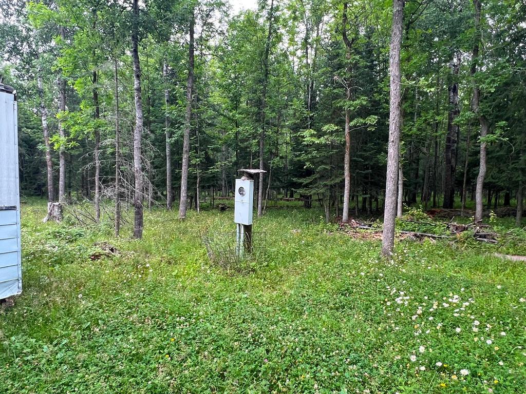 42228 County Road 234 Cohasset MN 55721 7115570 image9