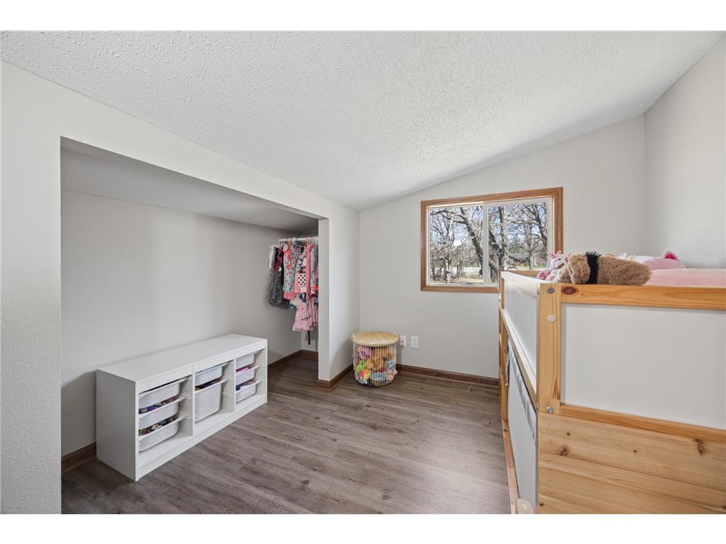 4225 124th Avenue Clear Lake MN 55319 7059334 image18