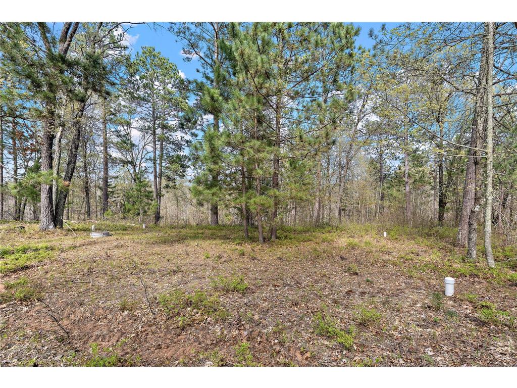 4226 Deerpath Road Jackson Twp WI 54830 7076596 image9