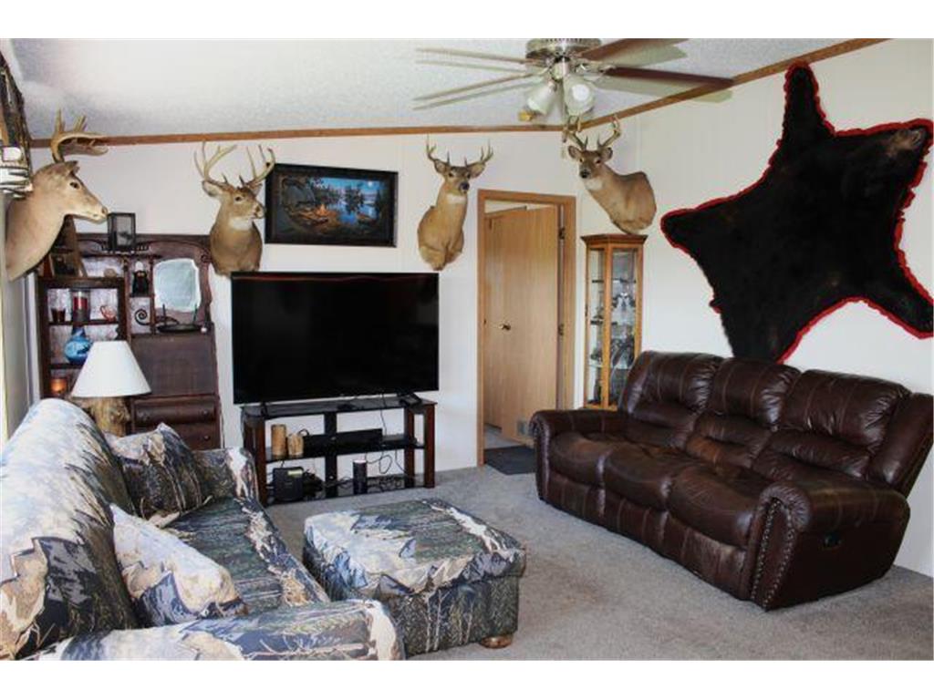 42294 380th Lane Aitkin MN 56431 7102331 image12