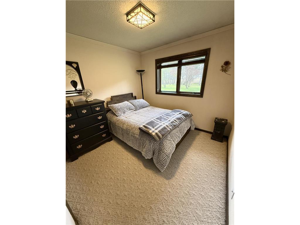 42297 County Road 1 Brockway Twp MN 56367 7073848 image16