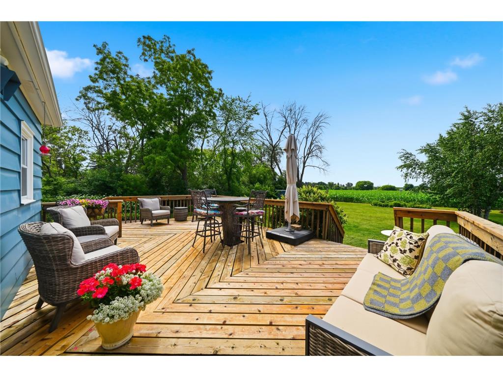4230 220th Street W Castle Rock Twp MN 55024 7104135 image25