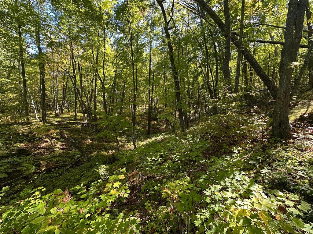 42305 Kego Lake Road Fifty Lakes MN 56448 6794637 image12