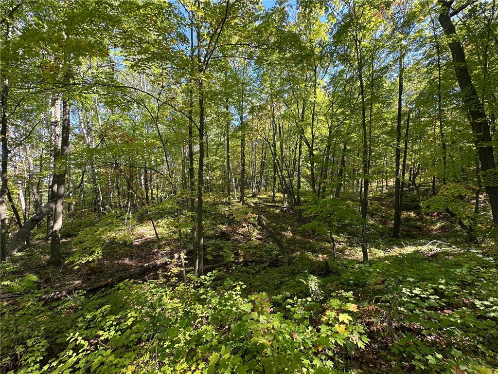 42305 Kego Lake Road Fifty Lakes MN 56448 6794637 image13