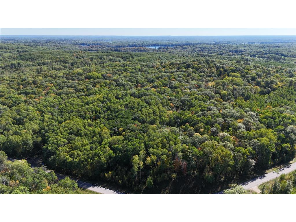 42305 Kego Lake Road Fifty Lakes MN 56448 6794637 image6
