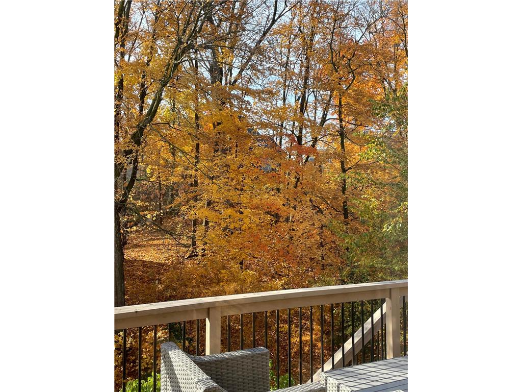 4231 Maple Hurst Drive N Rockford MN 55373 6812167 image44