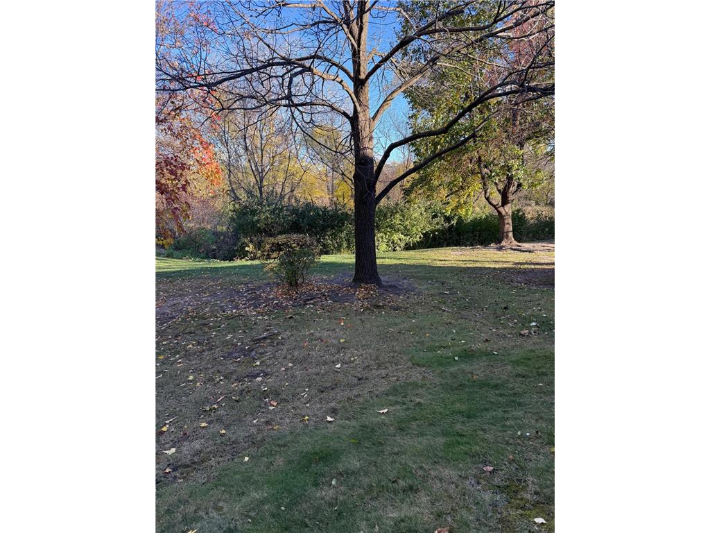 4232 Magnolia Lane N #73 Plymouth MN 55441 6811600 image53