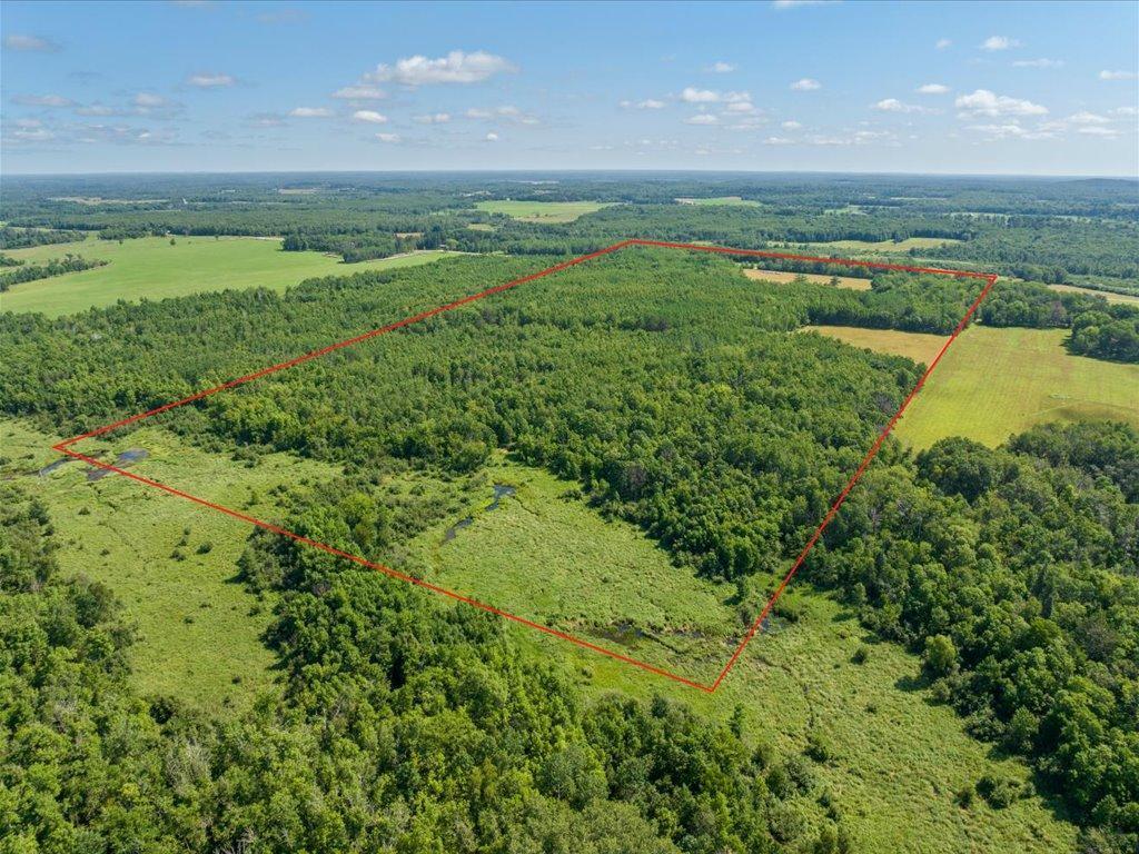 4233 56th Avenue SW Bungo Twp MN 56474 6763684 image1