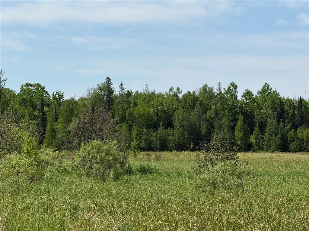 42330 Rutabaga Road Askov MN 55704 7086405 image28