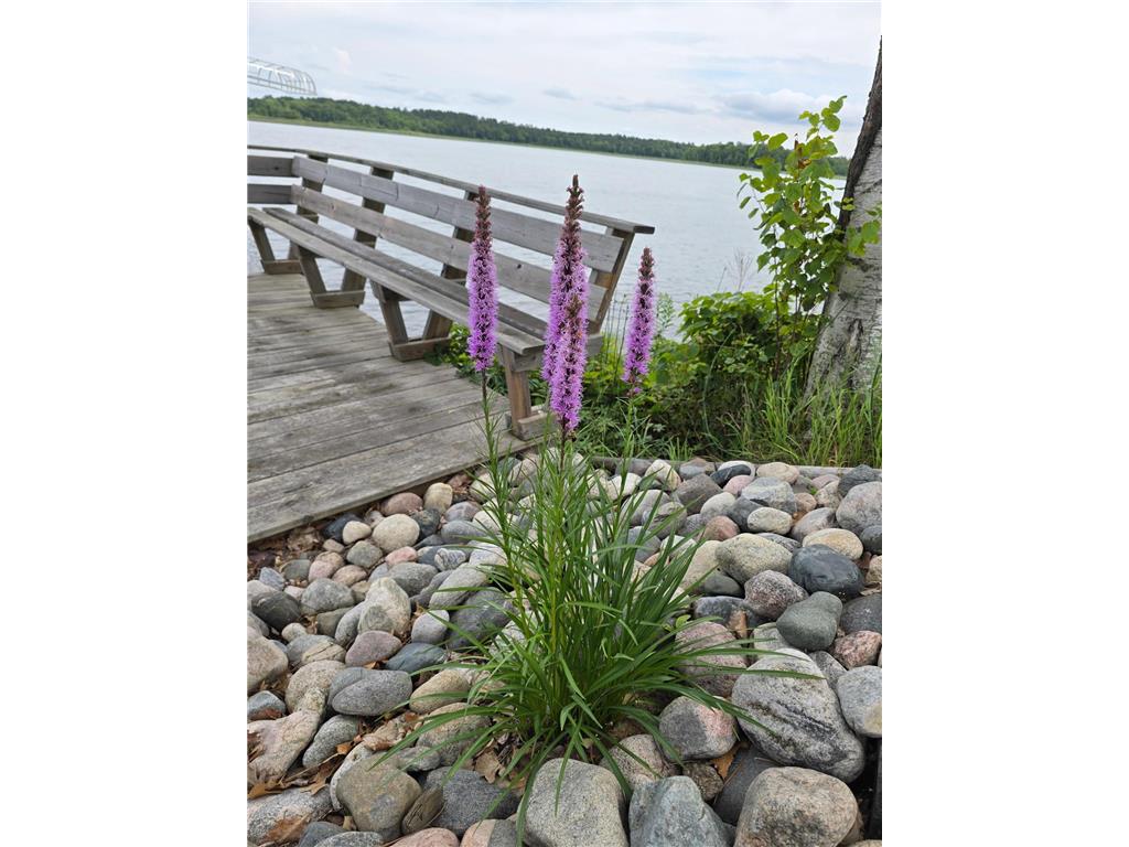 4234 Winnie Dam Lane NE Deer River MN 56636 - Winnibigoshish 6781081 image6