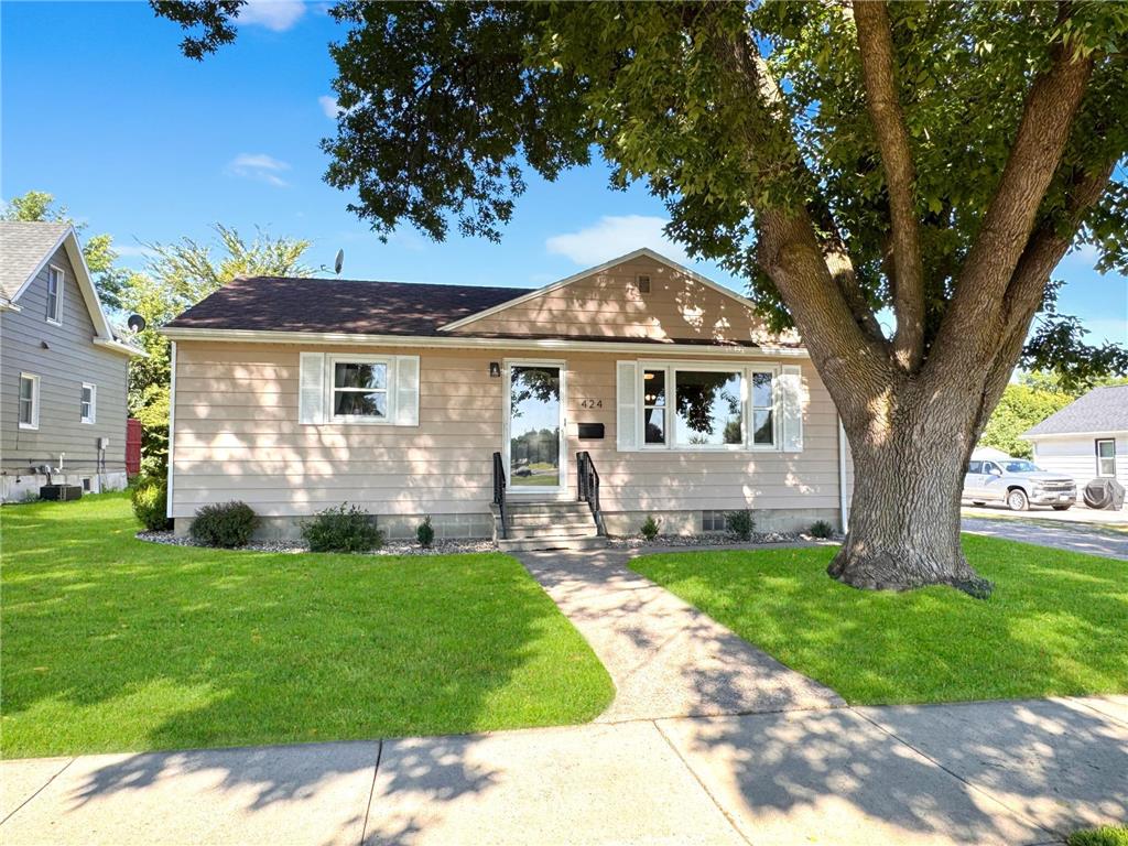 424 3rd Avenue NE Sleepy Eye MN 56085 6757646 image1