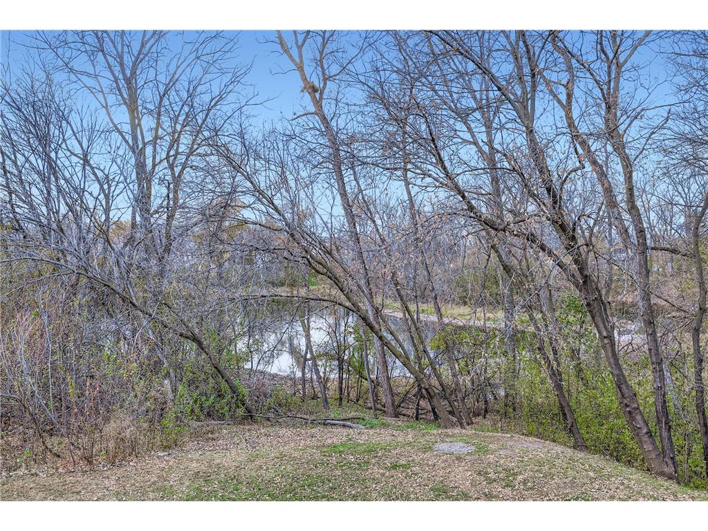 4241 Blackhawk Road Eagan MN 55122 6819751 image35