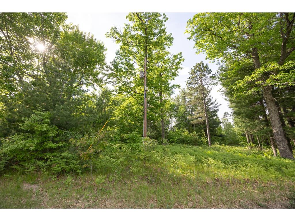4249 County 7 NE Remer MN 56672 7087949 image15