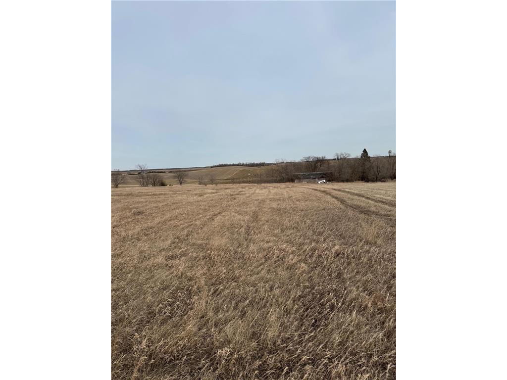 424xx 380th Avenue Dent MN 56528 6641558 image1