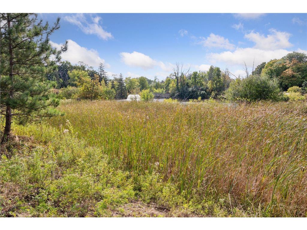 425 Carpenters Point Wayzata MN 55391 - Lake Minnetonka 7075969 image96