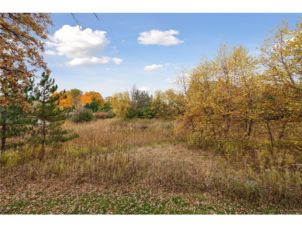 425 Carpenters Point Wayzata MN 55391 - Lake Minnetonka 7075969 image98