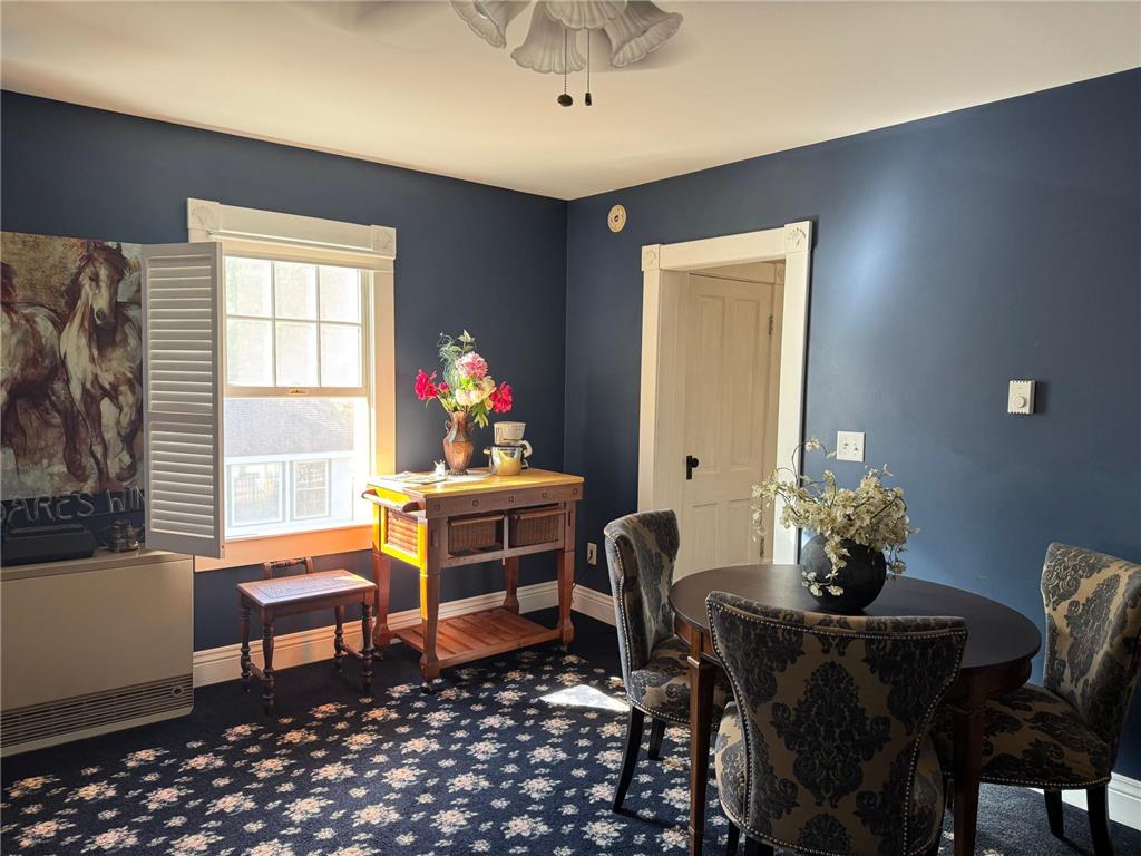 425 Prospect Street Peterson MN 55962 7003876 image31