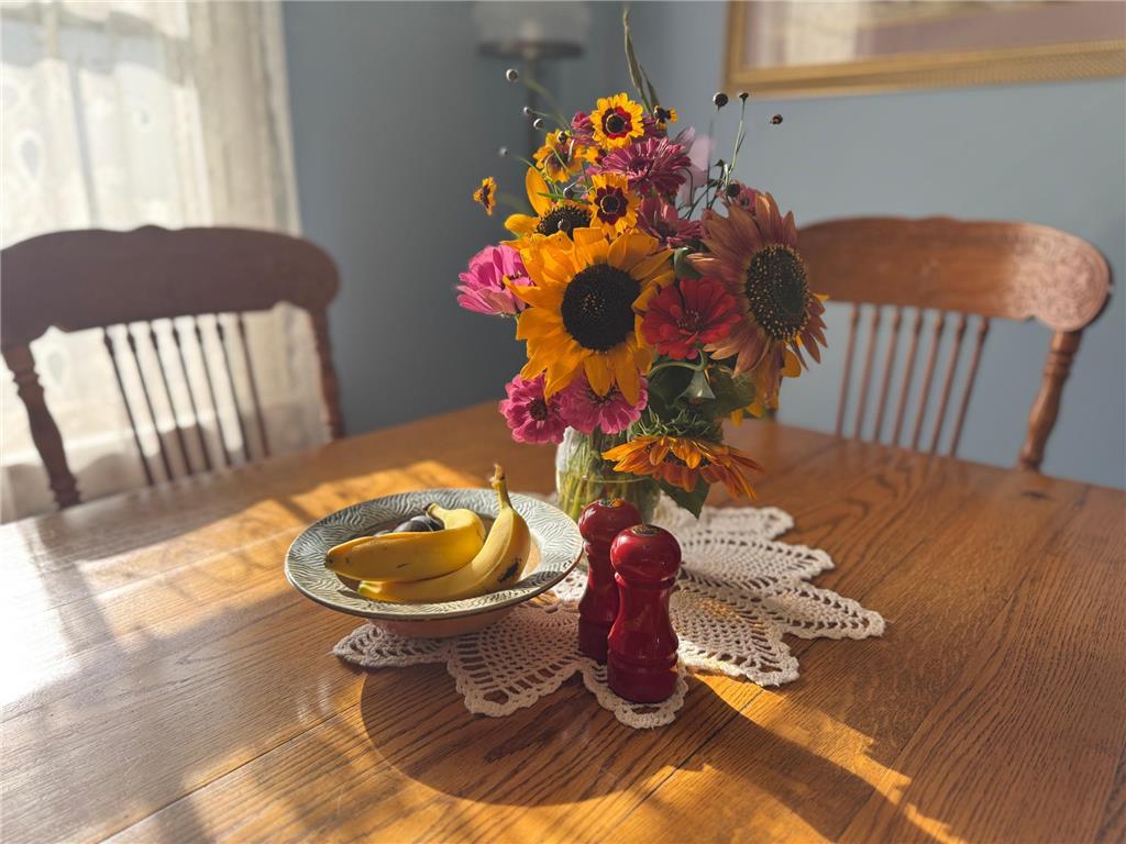 425 Prospect Street Peterson MN 55962 7003876 image8