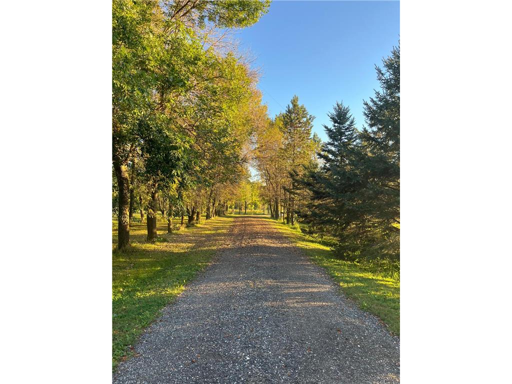 4250 35th Street SW Marysville Twp MN 55390 7053683 image2