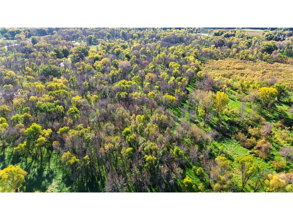 4250 35th Street SW Waverly MN 55390 - Crow River 6802246 image10